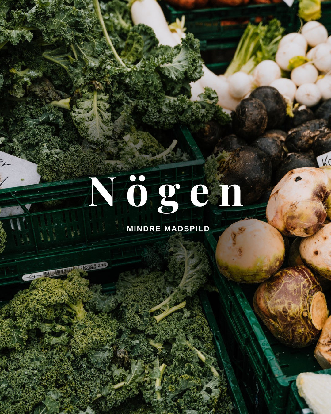 Nögen MINDRE MADSPILD Restaurant Nögen, Unikke Grøntsager som skal mindske madspild i Aarhus og Vejle unik smagsoplevelse