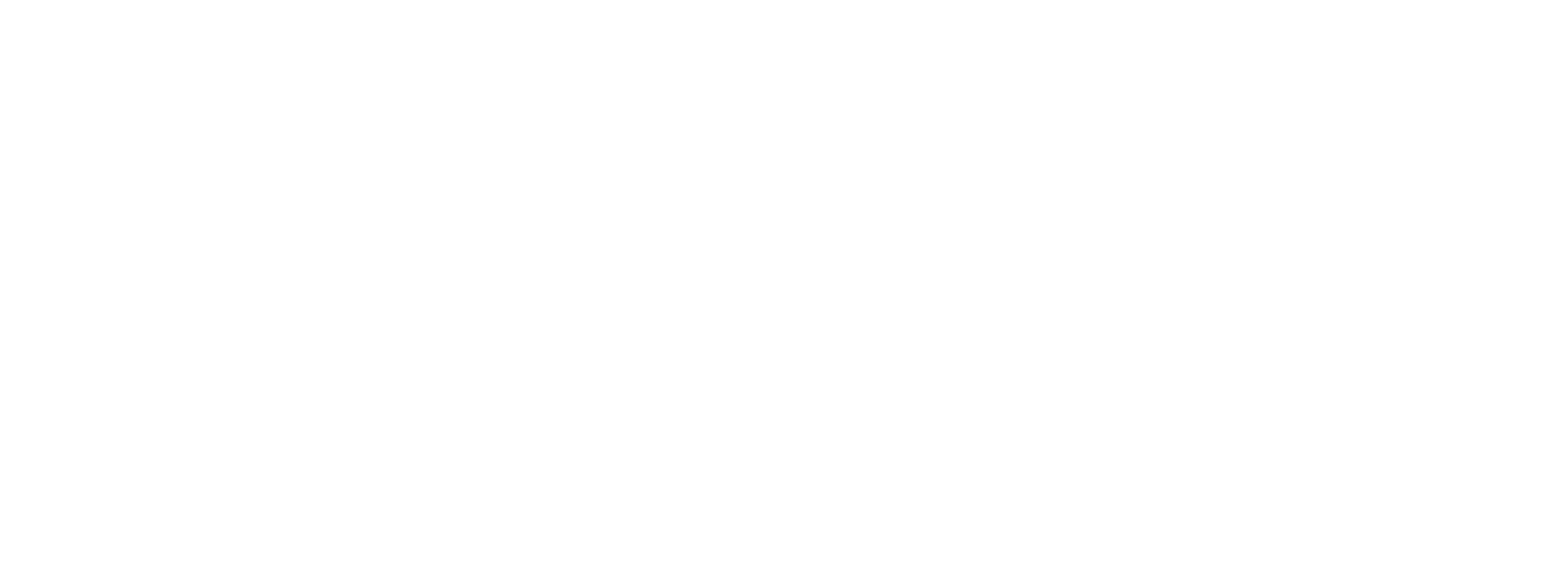 Danske Commodities logo white